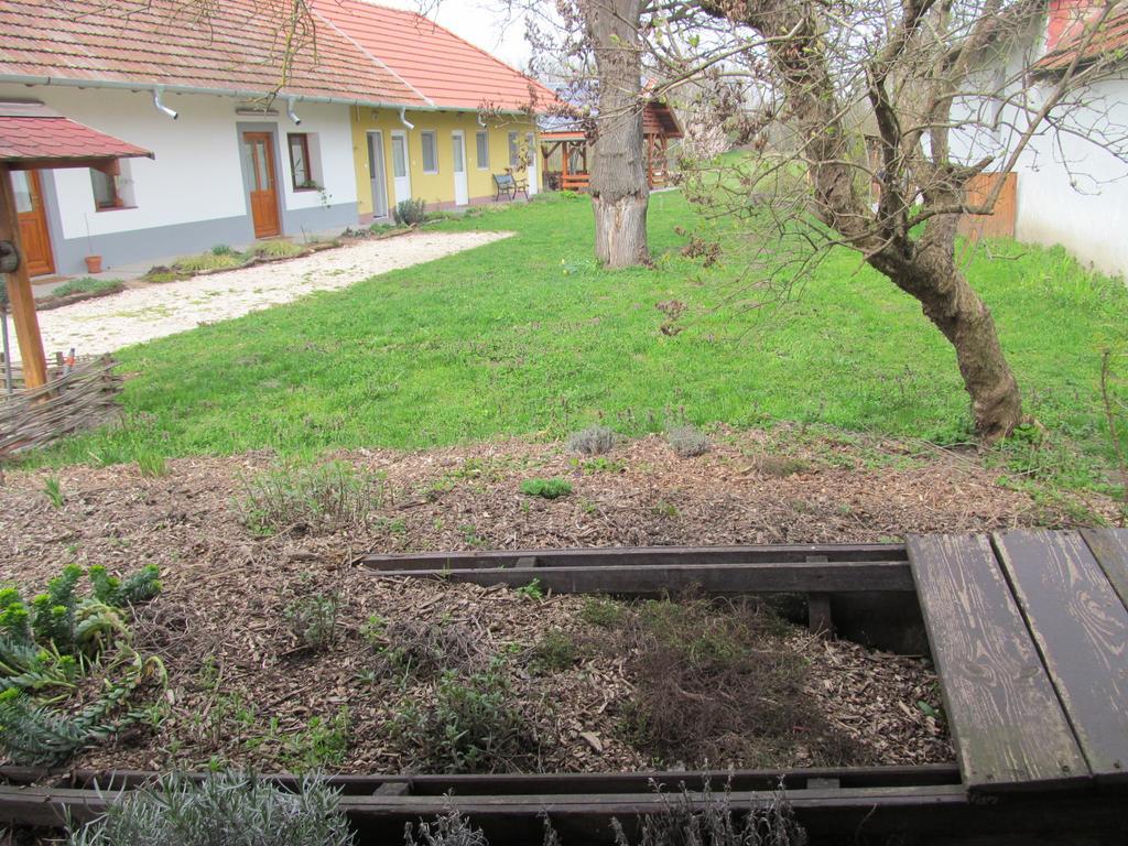 Rigofuetty Vendeghaz Hotel Tiszaalpar Bagian luar foto