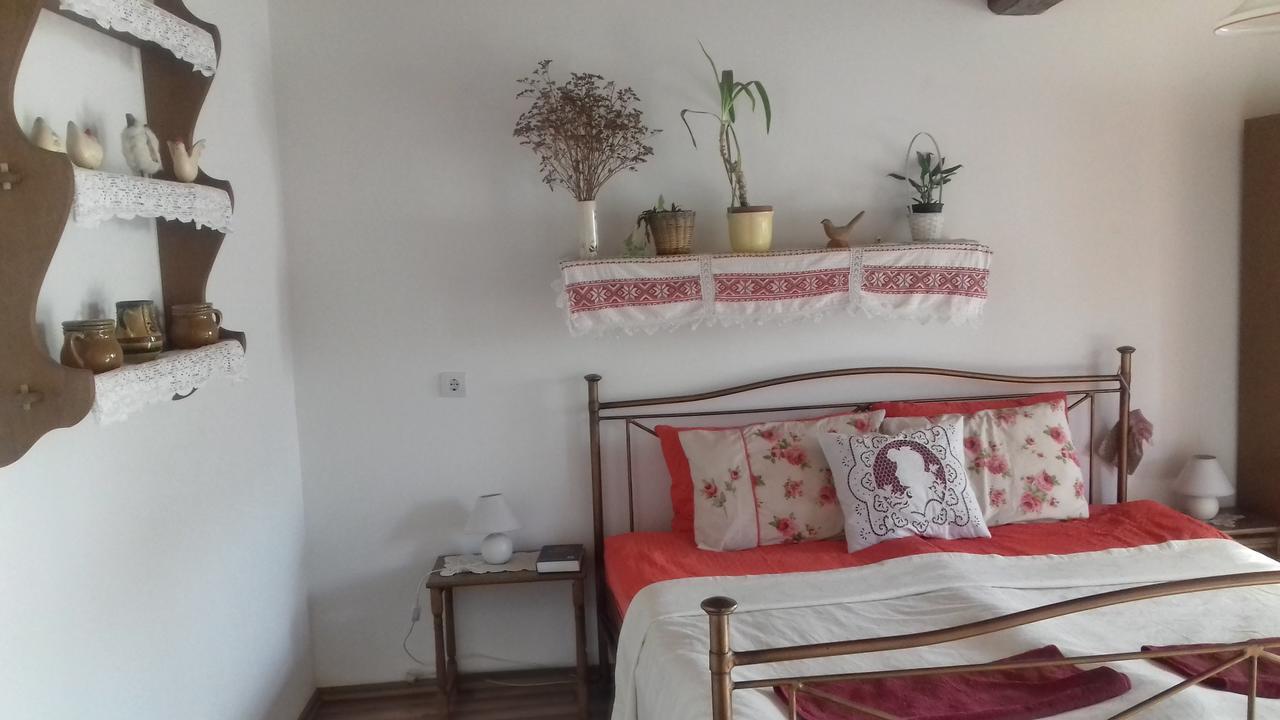 Rigofuetty Vendeghaz Hotel Tiszaalpar Bagian luar foto