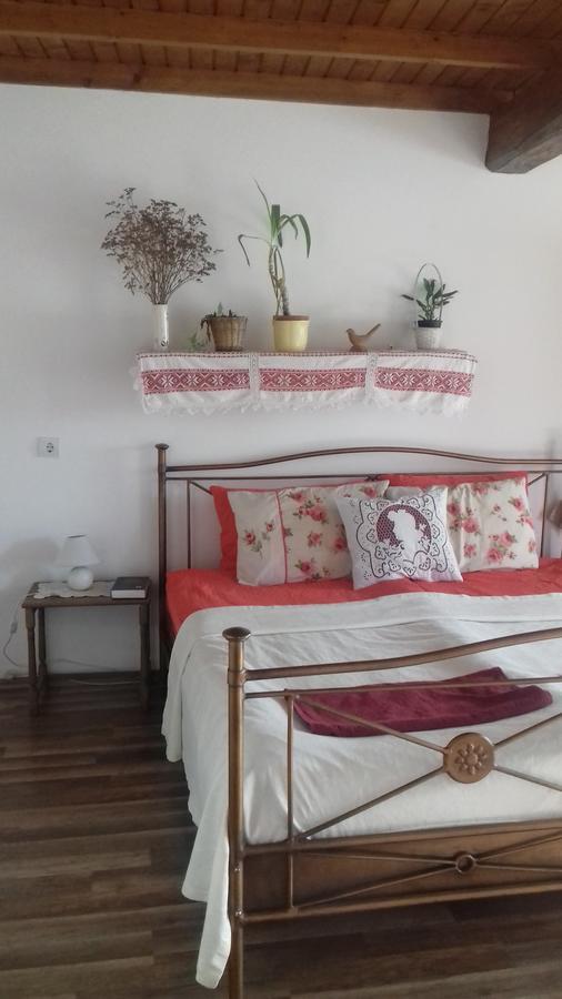 Rigofuetty Vendeghaz Hotel Tiszaalpar Bagian luar foto
