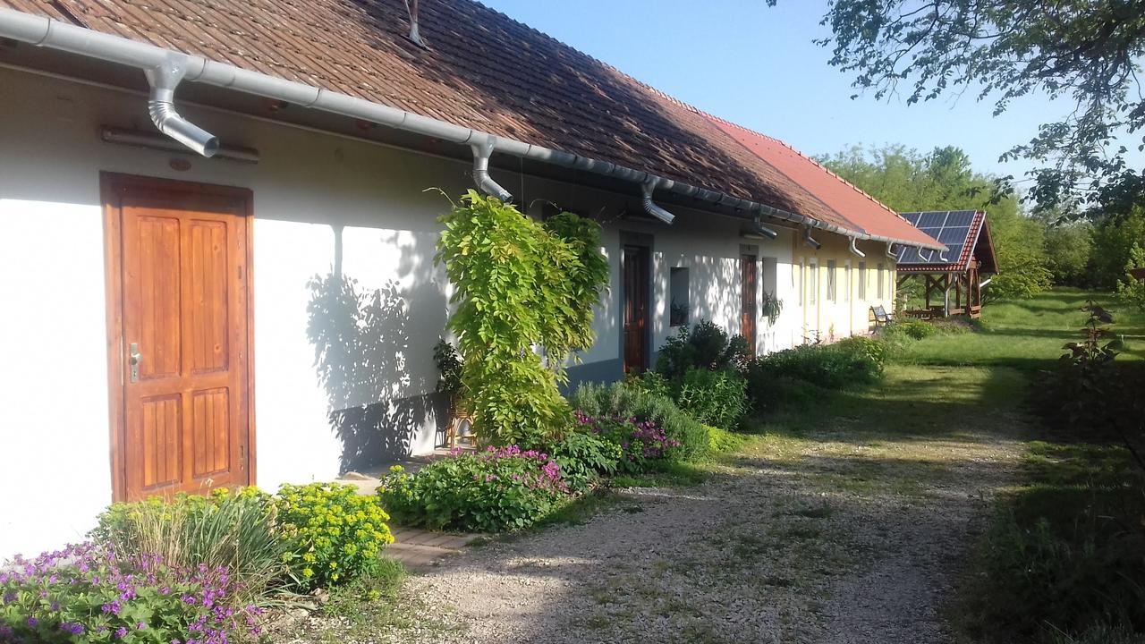 Rigofuetty Vendeghaz Hotel Tiszaalpar Bagian luar foto