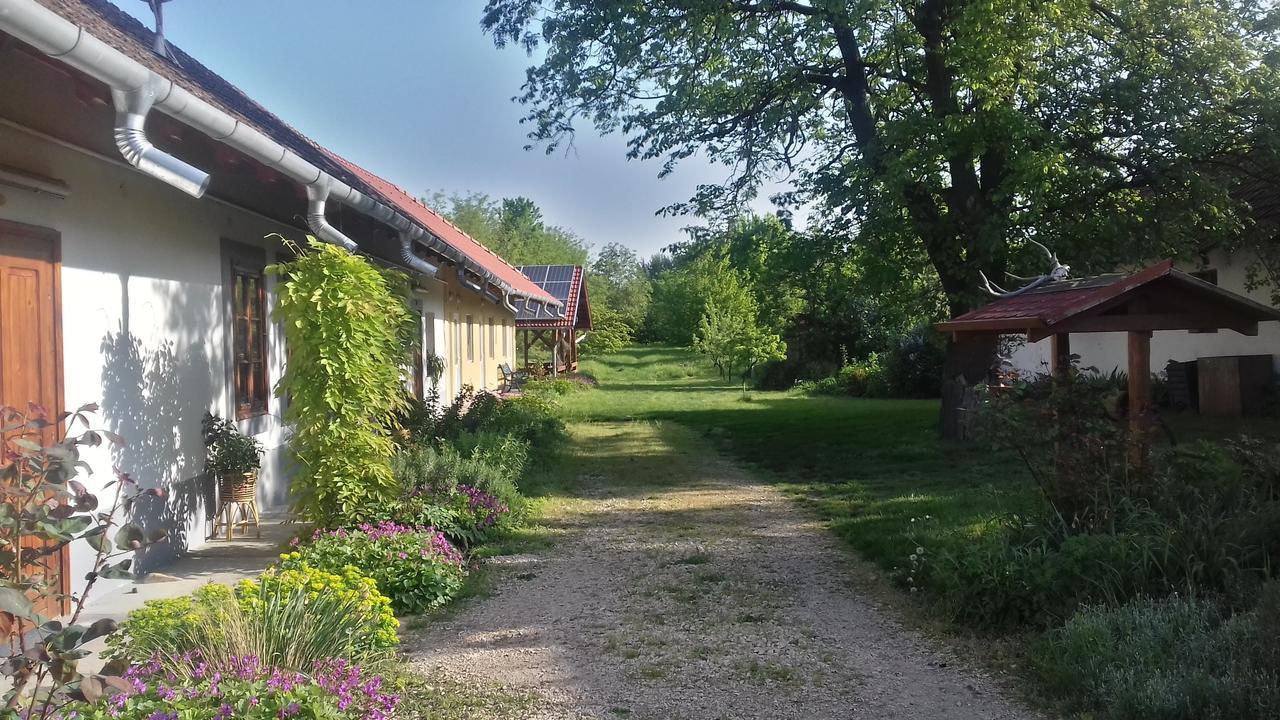Rigofuetty Vendeghaz Hotel Tiszaalpar Bagian luar foto