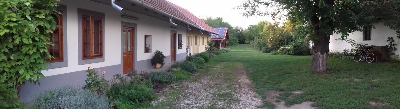 Rigofuetty Vendeghaz Hotel Tiszaalpar Bagian luar foto