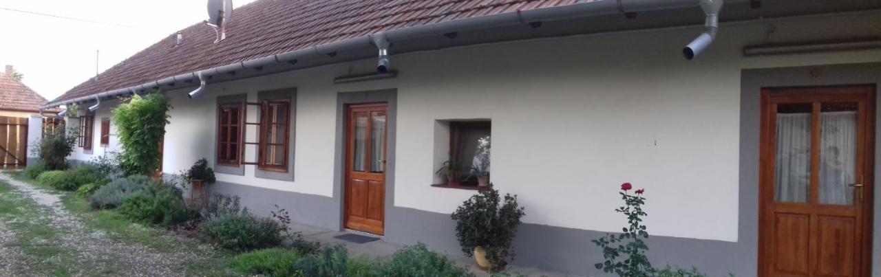 Rigofuetty Vendeghaz Hotel Tiszaalpar Bagian luar foto